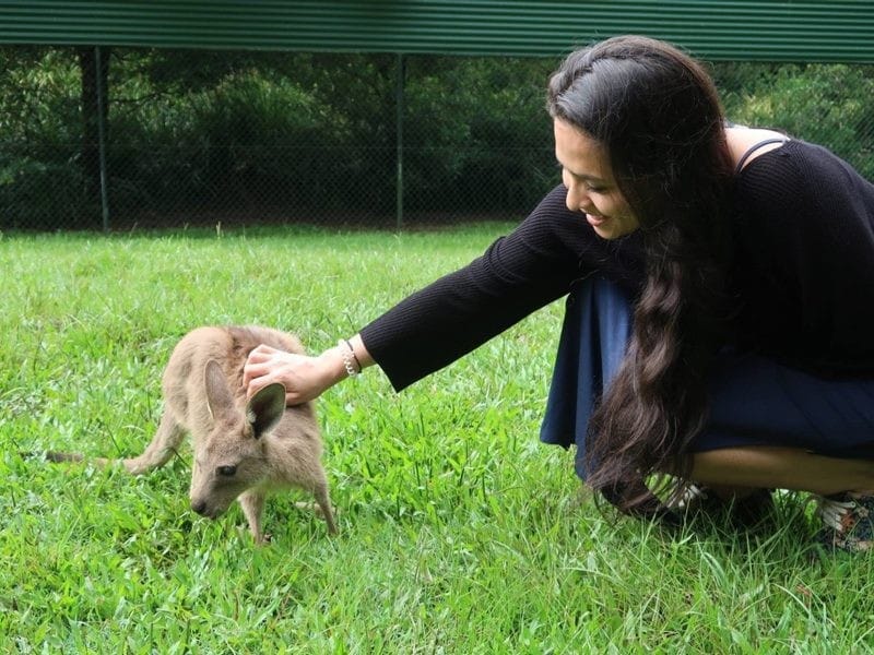Vivir en Brisbane chica morena arrodillada en el césped acariciando a un canguro. Ella lleva un jersey negro